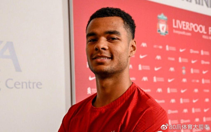 替代的角色 替代的角色