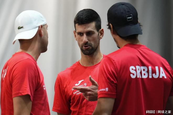 关注度双高 关注度双高