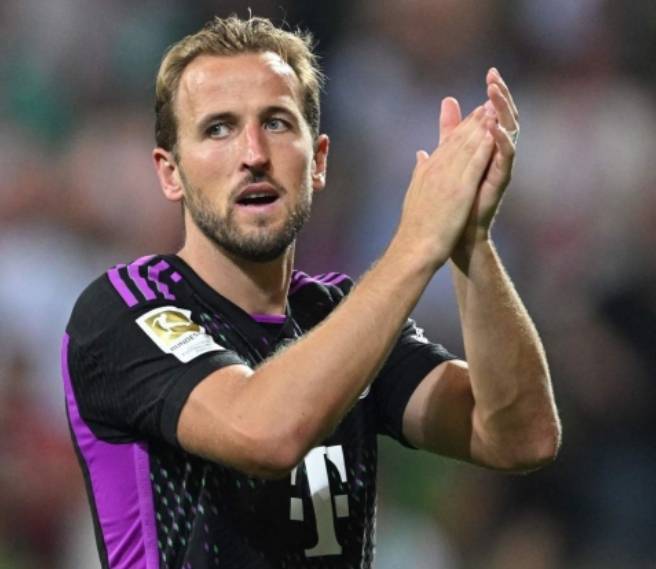 保护屏障 保护屏障